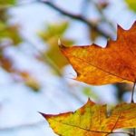 Ch. 6: Depth of Field