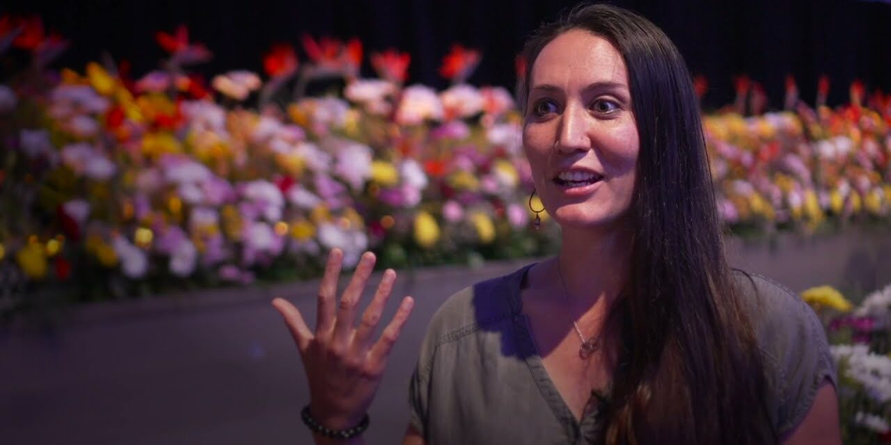 How to Change Personality and Transform Your Life: Emi’s Story of Healing and Renewal