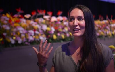 How to Change Personality and Transform Your Life: Emi’s Story of Healing and Renewal