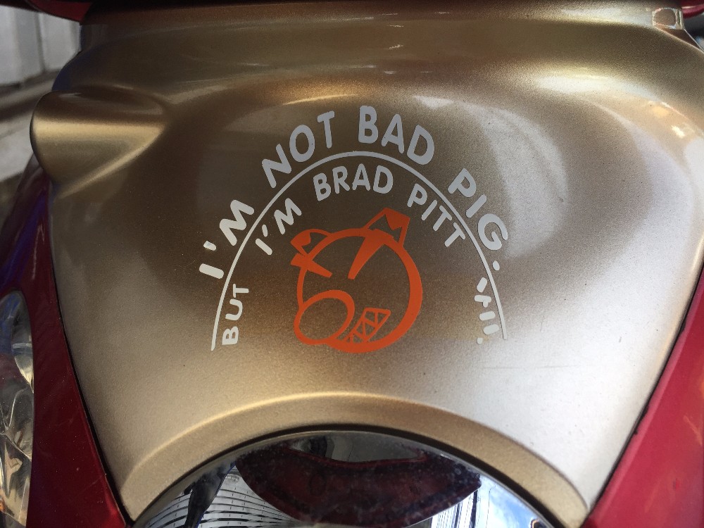 But if he's Brad Pitt, the logo is all wrong. Needs branding strategy advice. [On the back of a scooter.]
