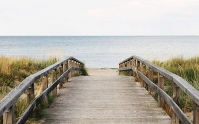 Usually high flying writer feels too grounded, walks on beach, solves everything.