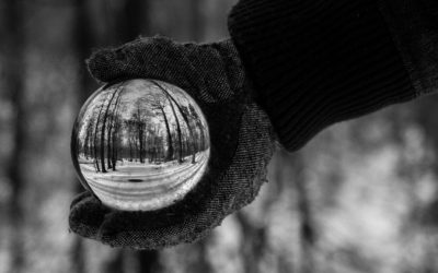 Is fiction easier for us to comprehend than reality?