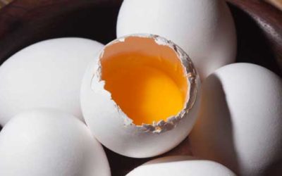 All eggs in one basket? No. Many baskets, many eggs.