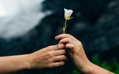 Are you missing out with a chance to connect with your readers at the end of each chapter?