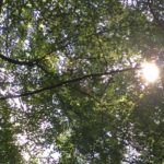 It can really help to get way out of flow to figure out when you’re in it