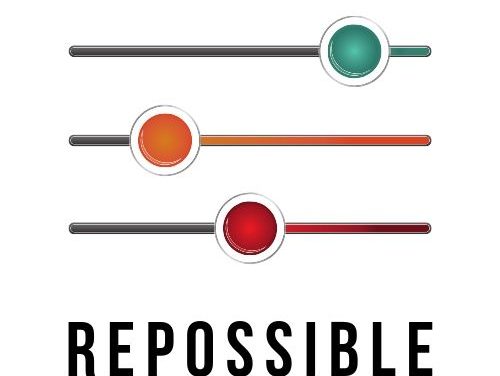 Repossible: The Subtitle