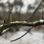 This Moment Won’t Last Forever (Neither Will the Snow) | Thursday Thunder