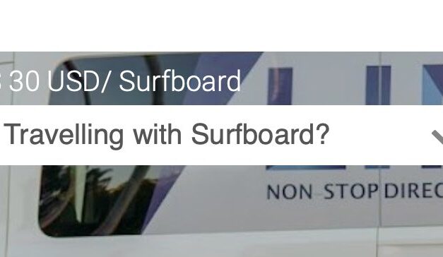 Traveling with Surfboard?