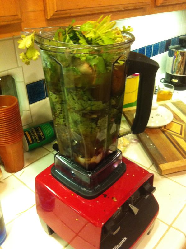 Rats and squirrels love your compost fruit and vegetables? Vitamix to the rescue. 