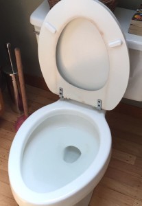 Friend of foe? The toilet to be replaced. Will it go easily?