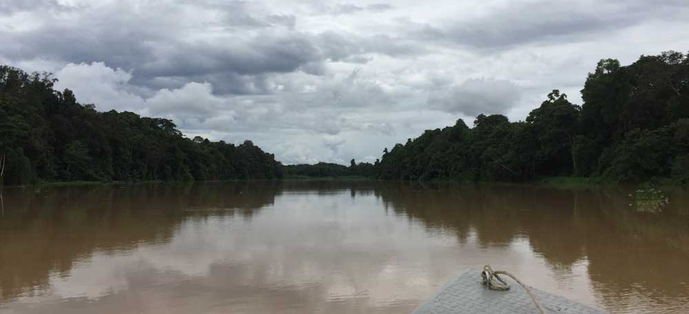 Upstream with a Paddle [Billit, Borneo, Malaysia]