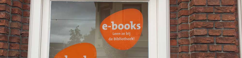 Do the Dutch read books on e-readers?